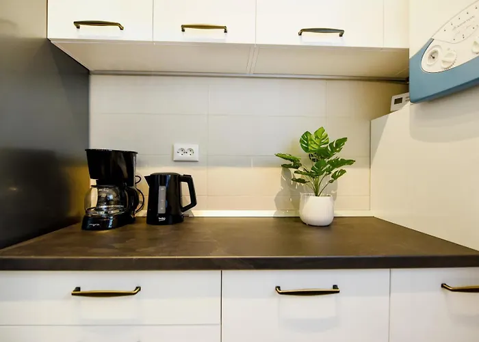 Centrally Located 1br Retreat Near Sala Palatului Appartement *
